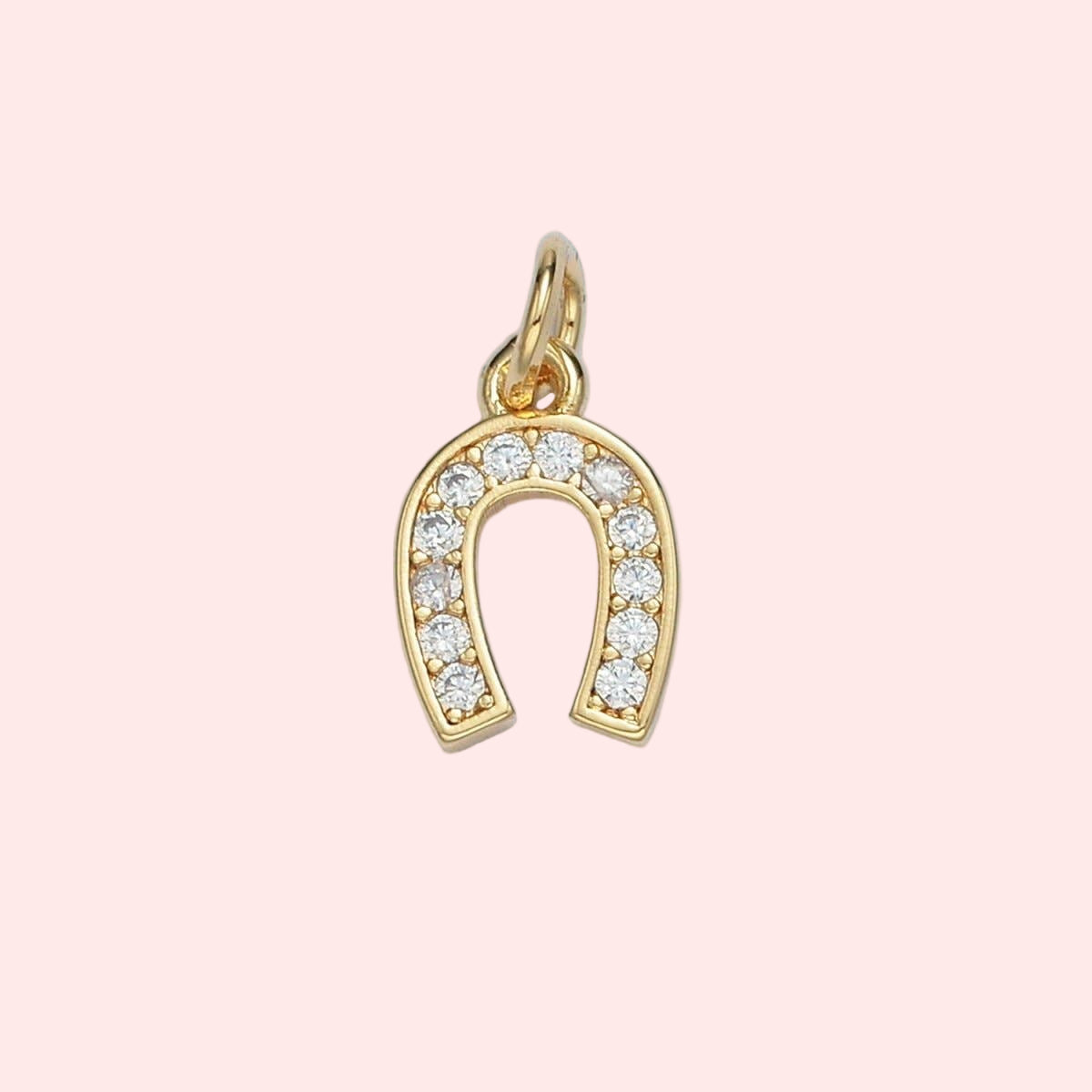 Lucky Horseshoe Charm