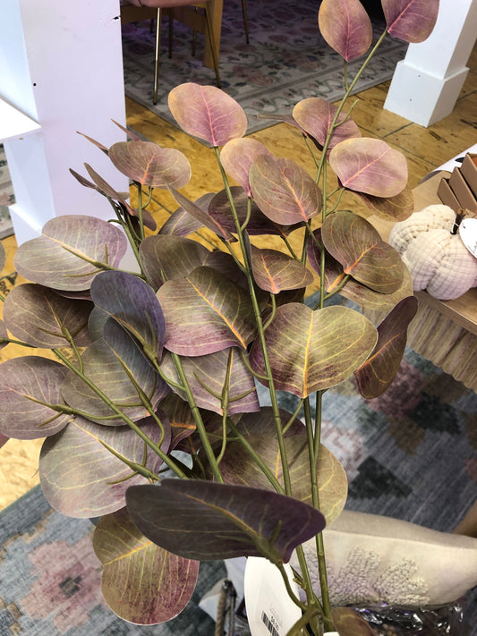 Brown Silver Dollar Eucalyptus - 7965