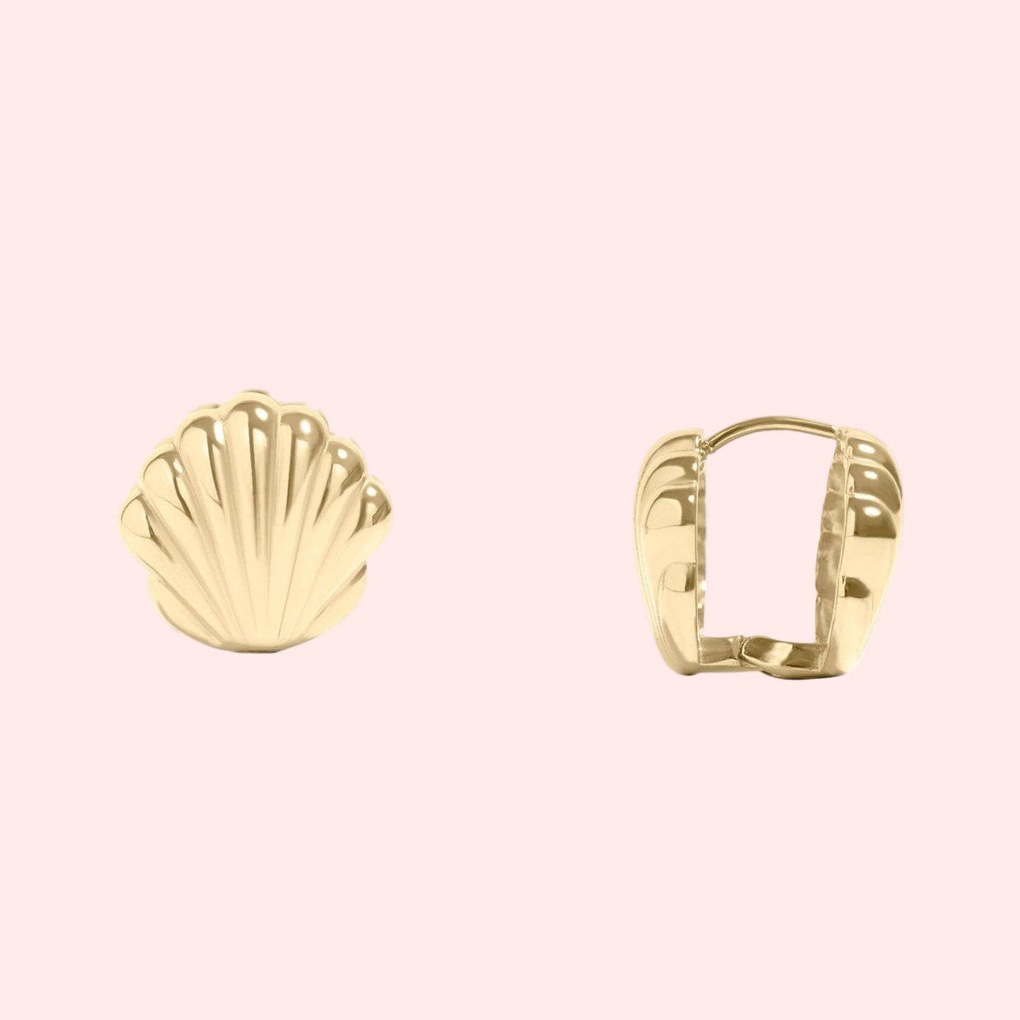 The Shell Huggies