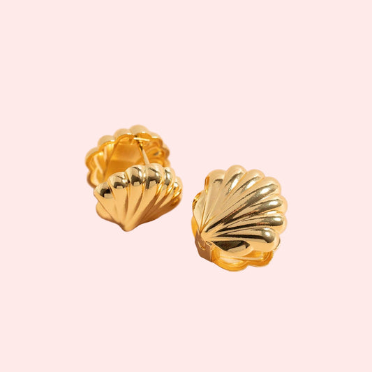 The Shell Huggies